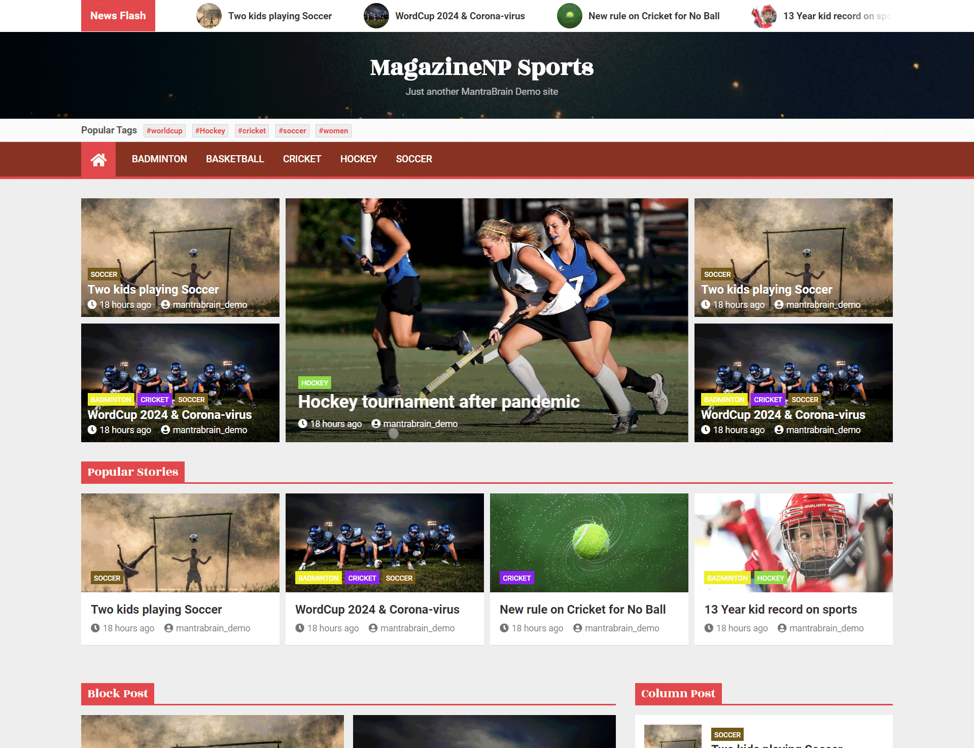 WordPress Magazine Theme - MagazineNP Pro
